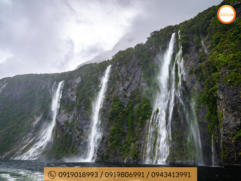 Tráng lệ của vịnh Milford Sound - Du lịch 360Go